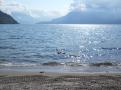 spgm-1.4.7/gal/Piona e lago di Como 18 aprile 2010/_thb_piona140.jpg